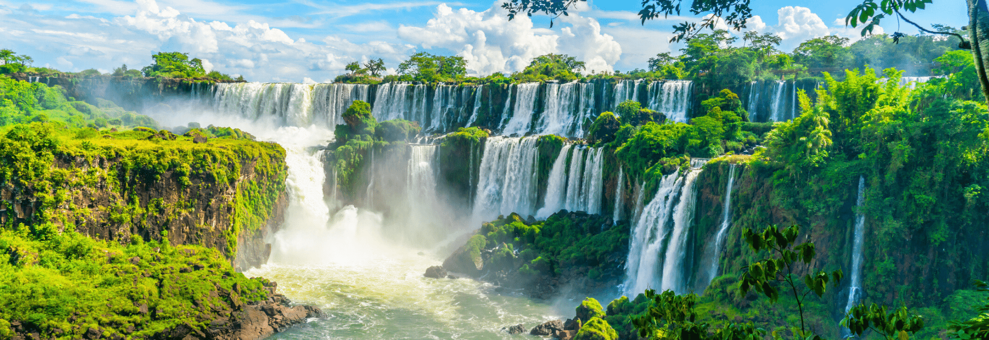 Argentine